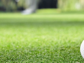 Elite Greens Made Easy