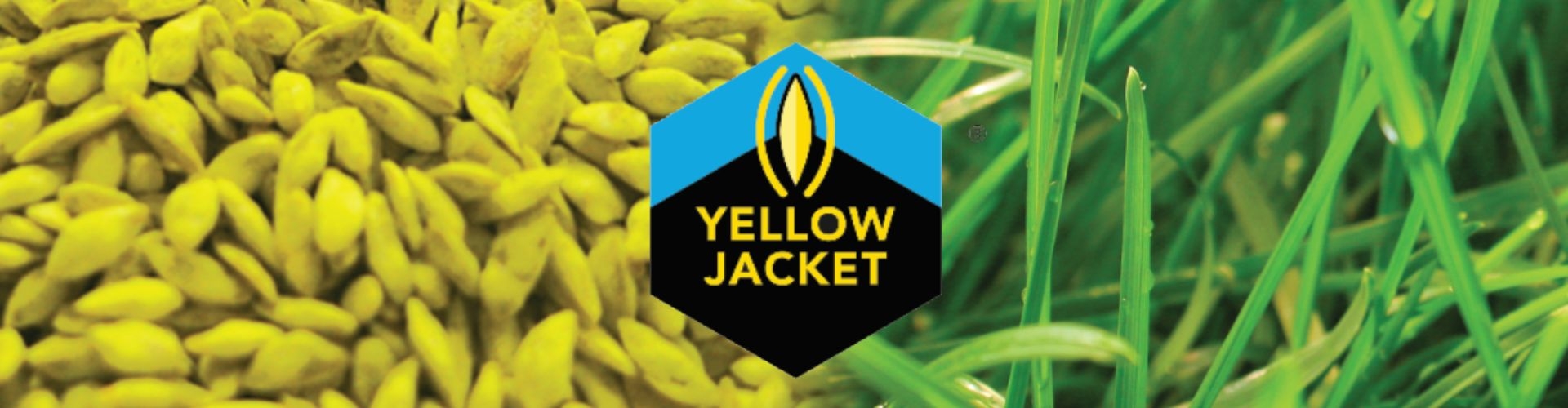 Yellow Jacket Coating Photo