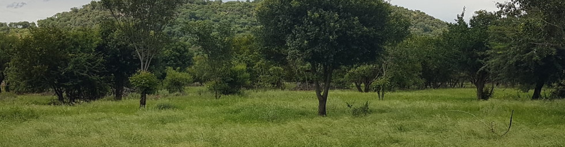 Verbeter jou veld IMAGE 1
