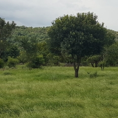 Verbeter jou veld IMAGE 1